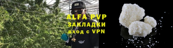 эйфоретик Богданович