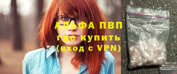 индика Козельск