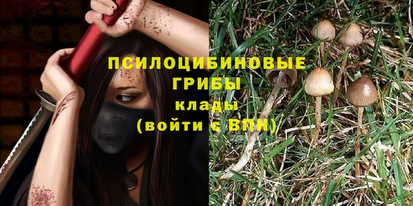 эйфоретик Богданович