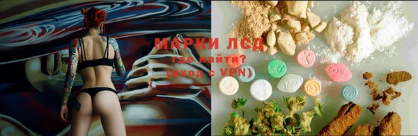 эйфоретик Богданович