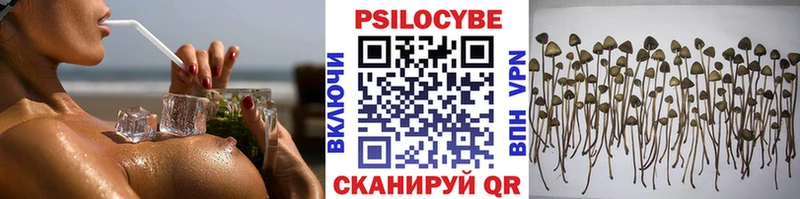 Галлюциногенные грибы Cubensis  как найти наркотики  Светлый 